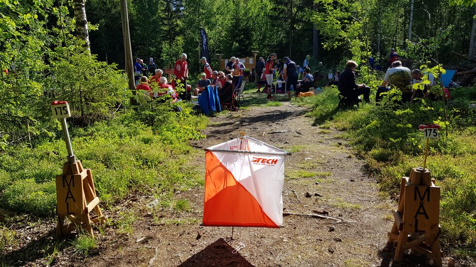 Målpost og samlingsplass i skogkanten.