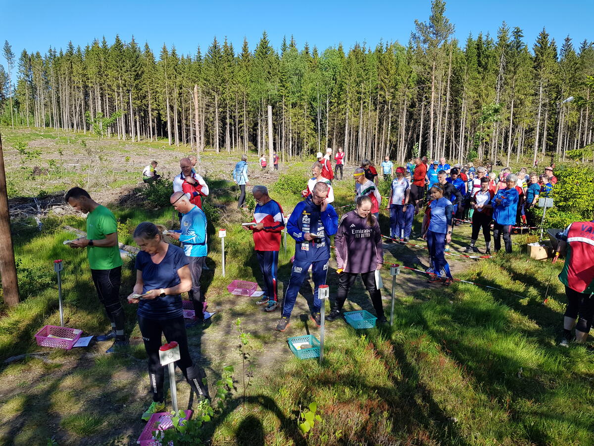 Mange løpere klare til start og venter på sin starttid