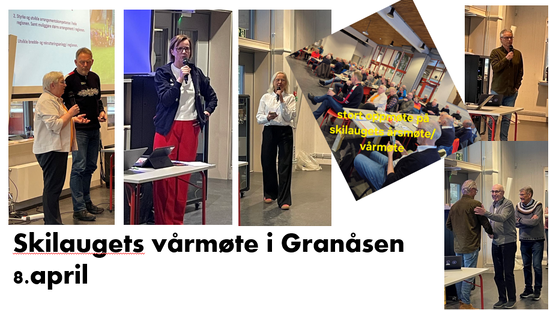 vårmøte