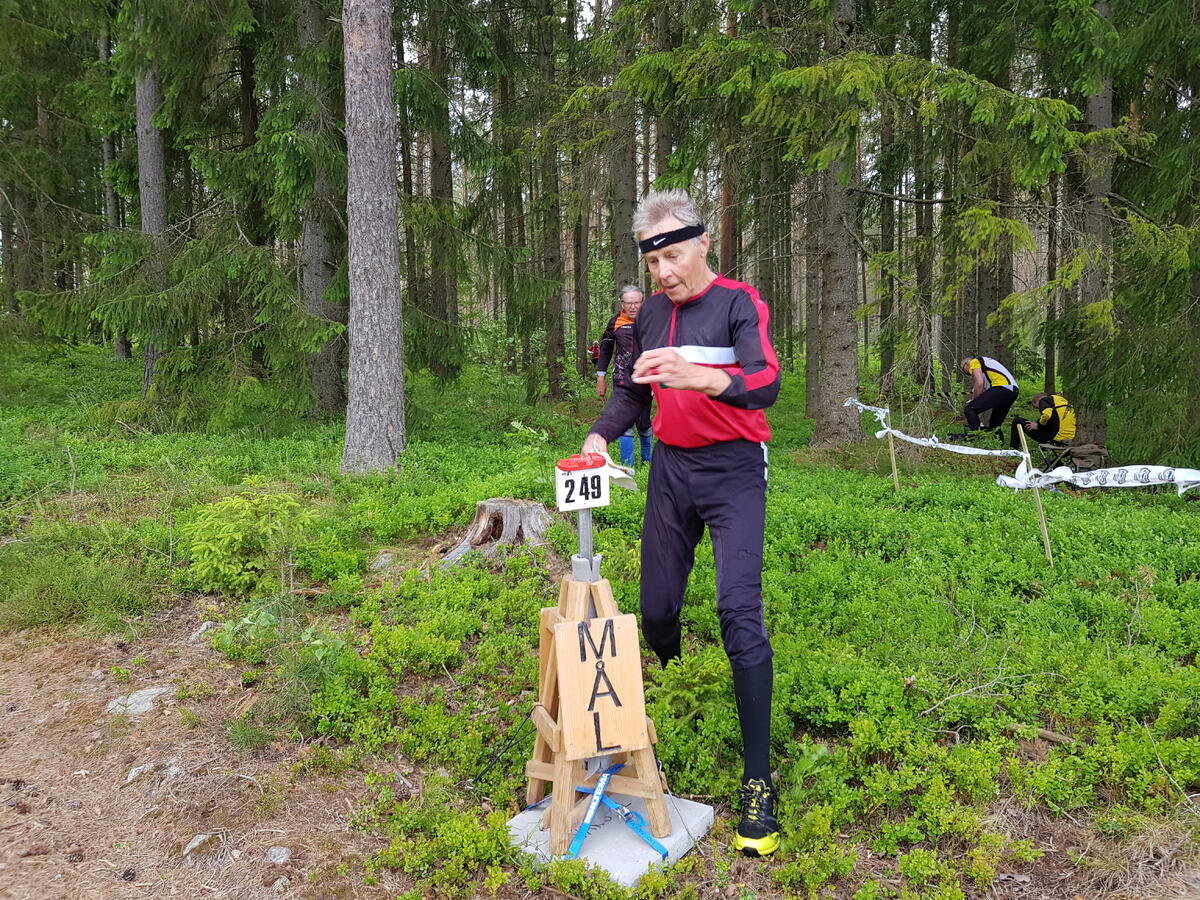 Paul Martin Berg målstempler