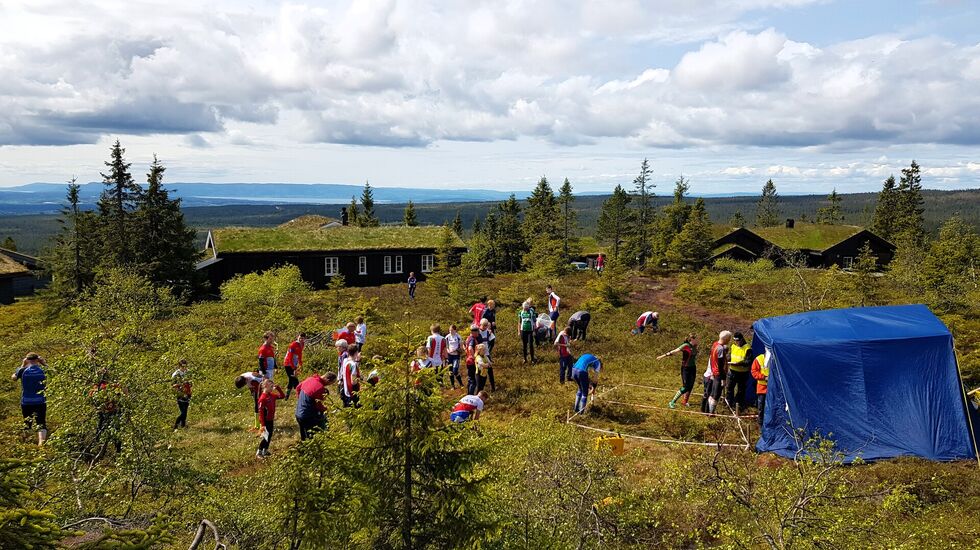 Starten på Løvspretten med utsikt  mot Mjøsa og Skreifjella. 