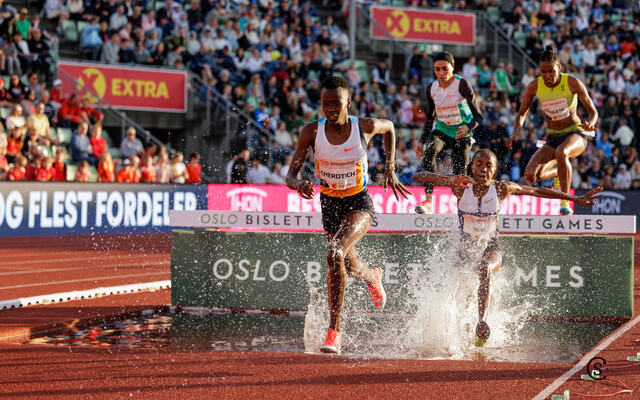 I tet: Faith Cherotich foran Winfred Yavi men et stykke etter haren over vanngraven. (Foto: Sylvain Cavatz)