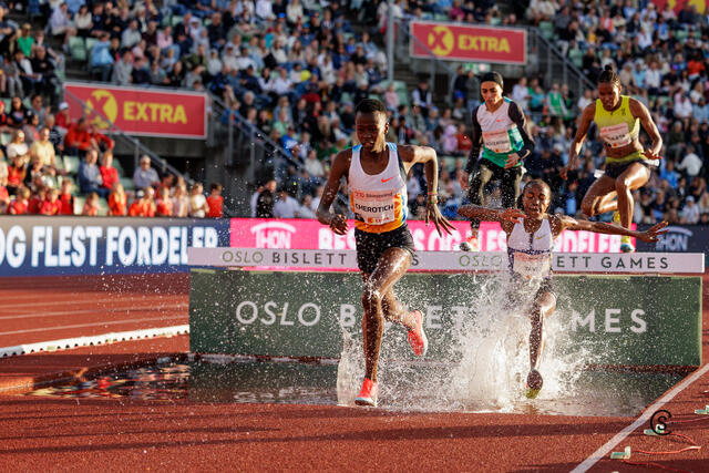 I tet: Faith Cherotich foran Winfred Yavi men et stykke etter haren over vanngraven. (Foto: Sylvain Cavatz)