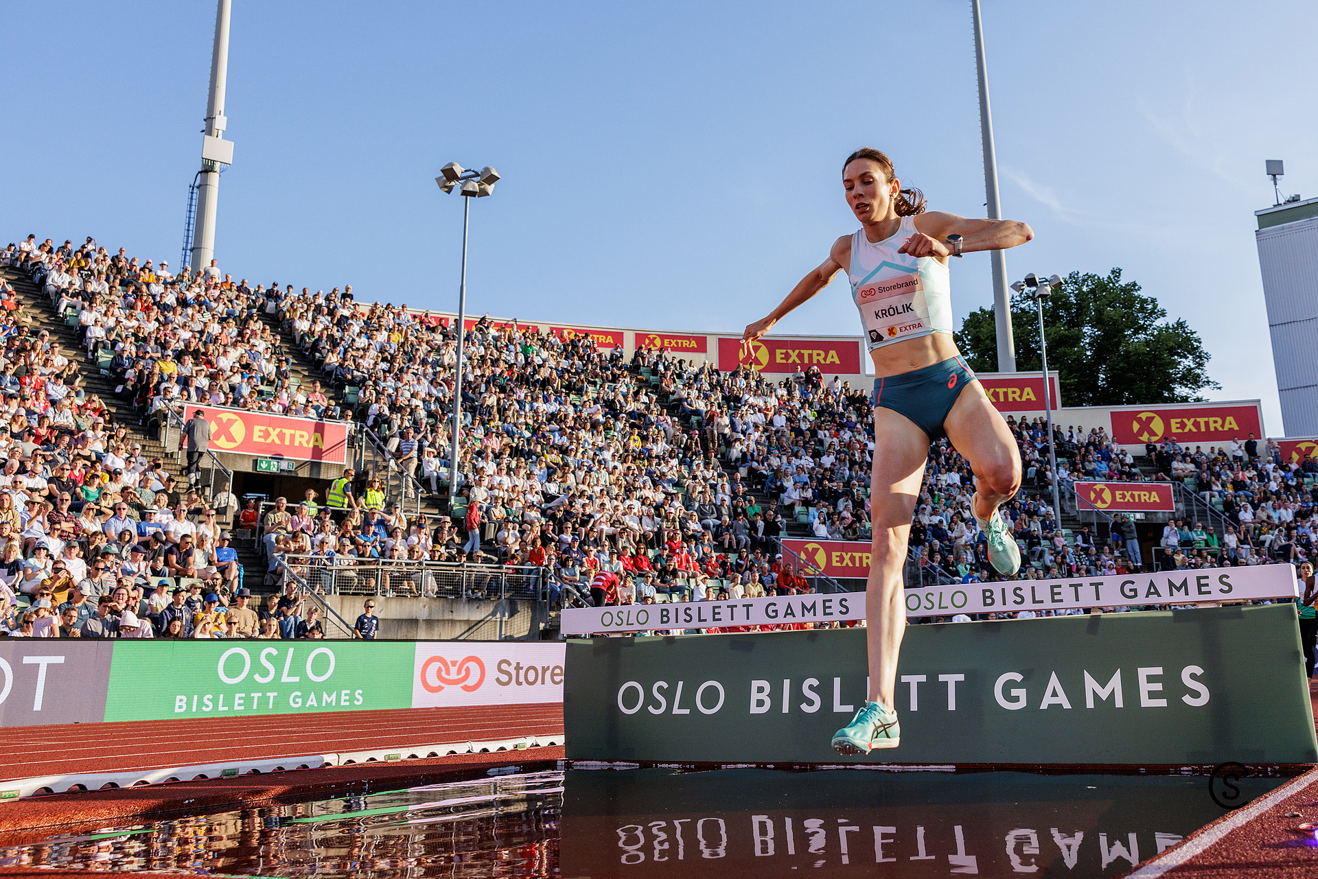 3000m-fartsholder_Krolik_ingen_foelger_henne_foto_Sylvain_Cavatz_2028_9372.jpg