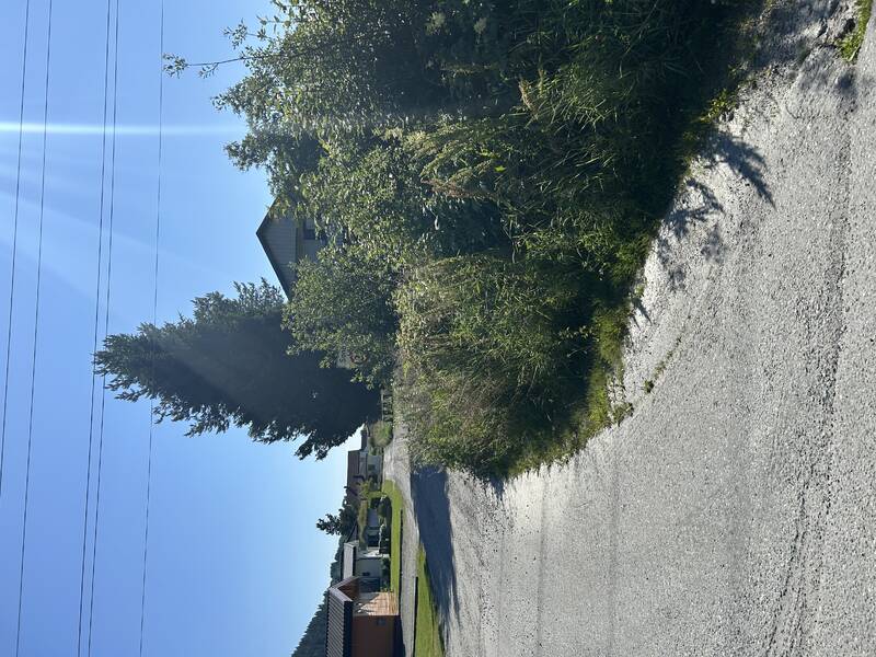 Saksbilde