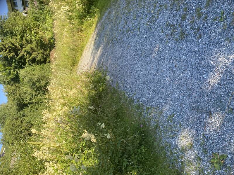 Saksbilde