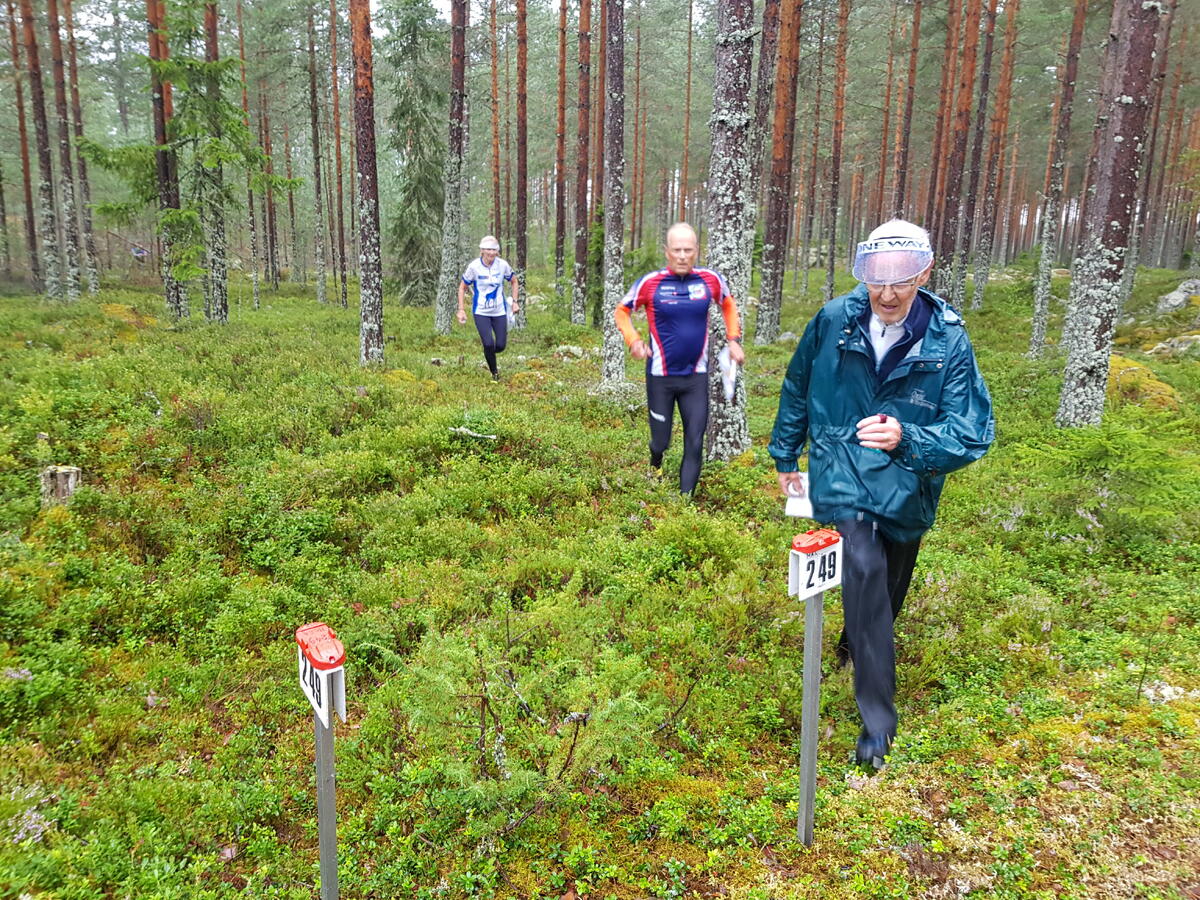 Løpere på vei mot mål