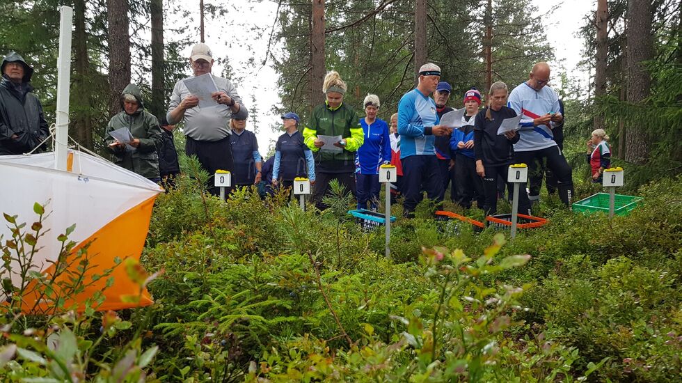 O-løpere klare til start i høy blåbærlyng i Løten.