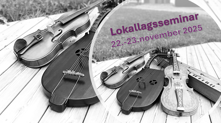 Lokallagsseminar buskerud