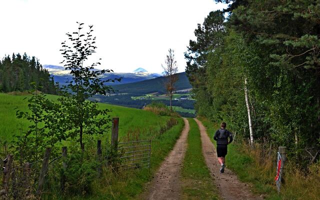 Utsikt mot Sølnkletten i Alvdal Vestfjell. (Foto: Inge Haugen)
