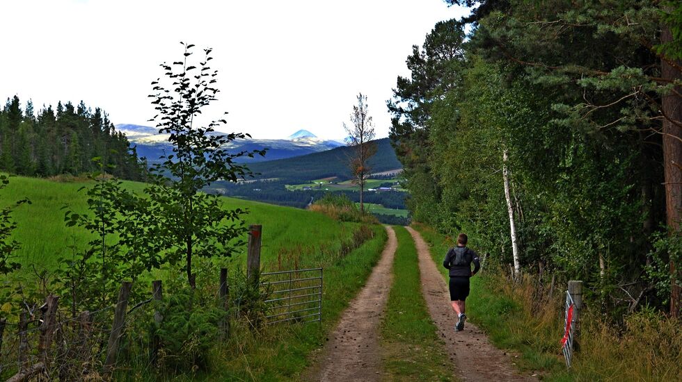 Utsikt mot Sølnkletten i Alvdal Vestfjell. (Foto: Inge Haugen)