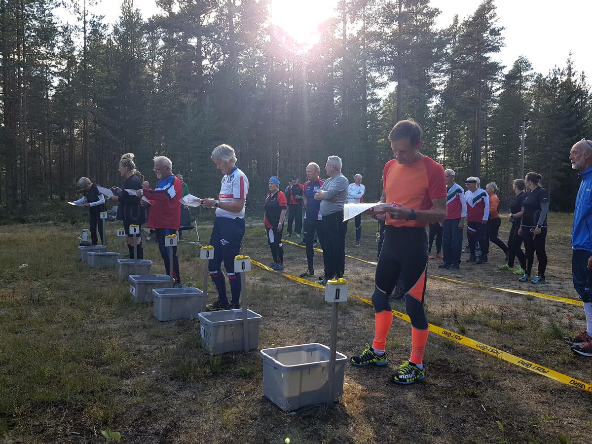 Klare til start i klveldssol over Løvbergsmoen