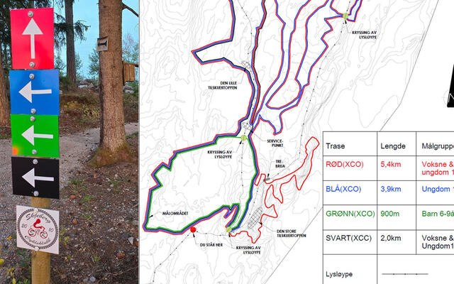 Skjeberg MTB Park har løyper for alle, både små og store.