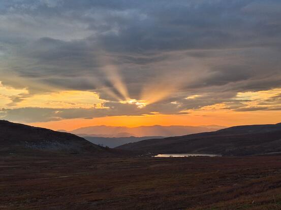 Solnedgang