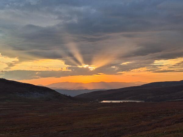 Solnedgang