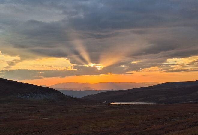 Solnedgang