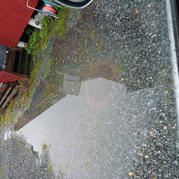 Saksbilde