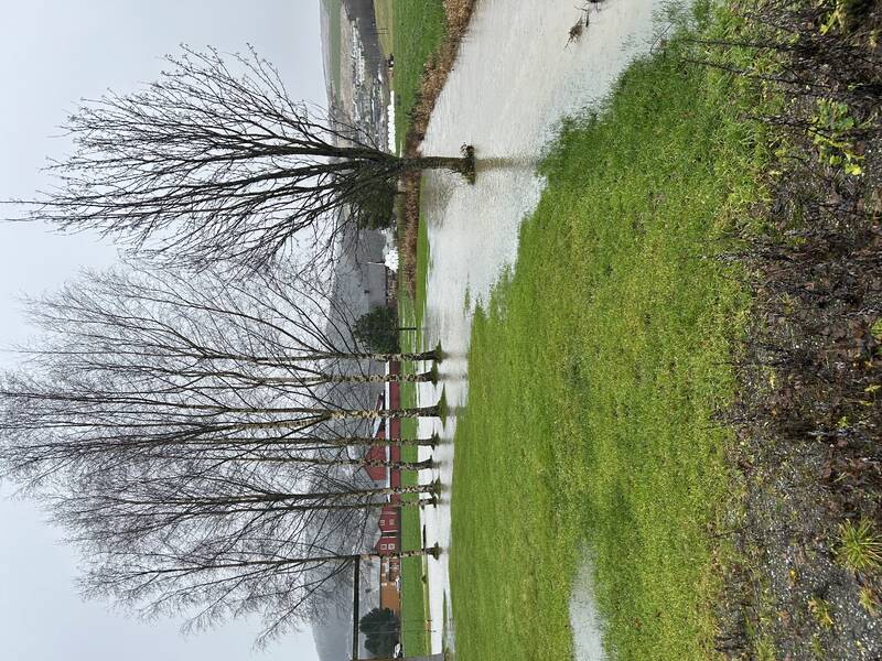Saksbilde