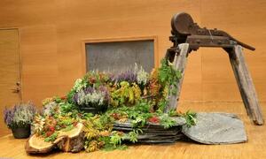 Scenen var pyntet med stein, lav og planter