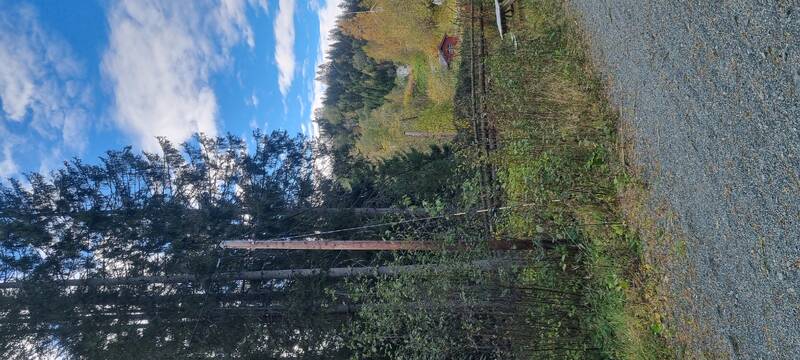 Saksbilde