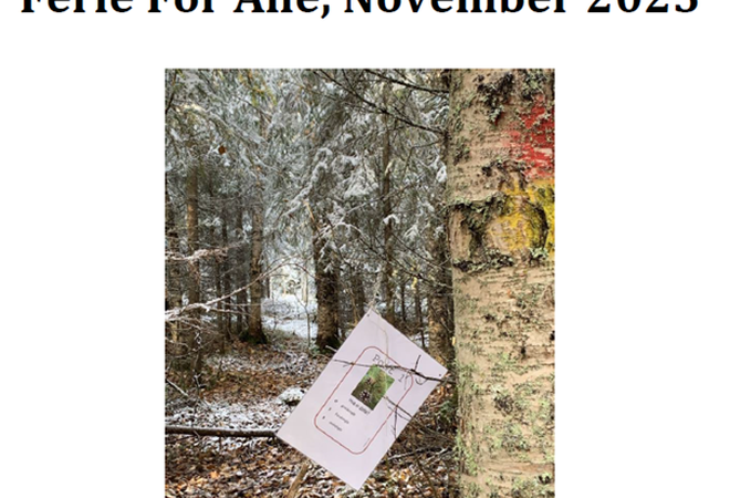 Ferie for alle november 2025