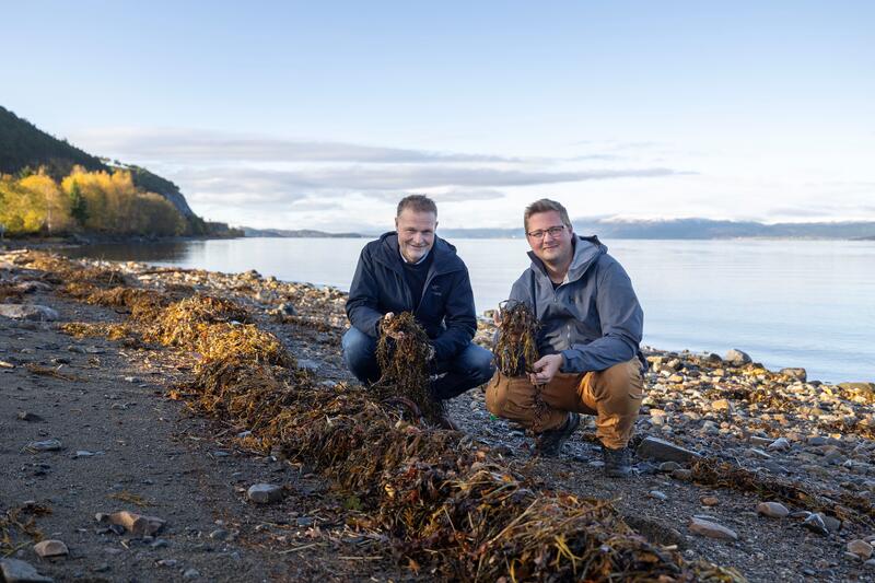 Direktør for regional utvikling Even Ystgård (til venstre) og rådgiver Åge Flakk i Trøndelag fylkeskommune trenger nå hjelp for å lære mer om trøndernes forhold til Trondheimsfjorden. Foto: Ronny Manuel Danielsen. To personer i fjæra