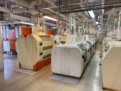 Produksjonen av mel gjøres i flere etapper, med mange sikter som vibrerer.