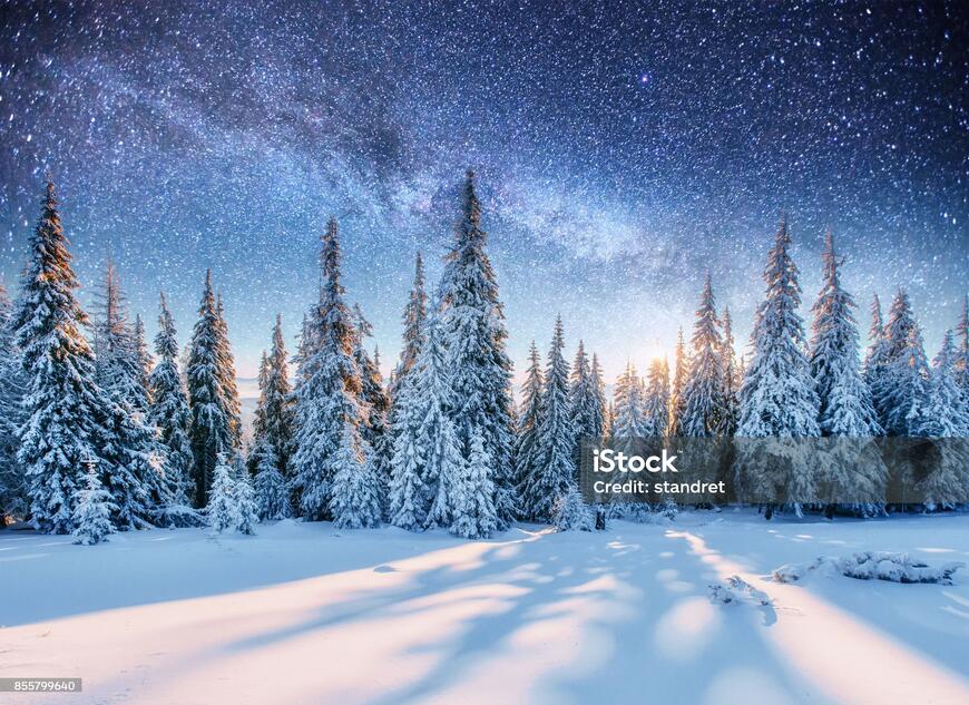 istockphoto-855799640-2048x2048