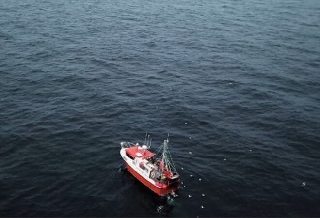 Bå bilde: Liten fiskebåt på havet. Foto: Linken Næringshage