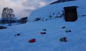 Folk, barn, voksne, sang, taler, kulturgammen