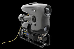 06 EF Langt fra blåøyd vanntroll