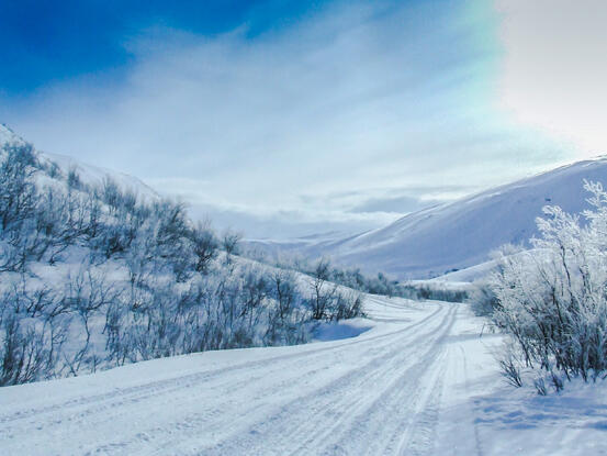 PåBilde: Skutertrasse i i Skogdalen (Tranga) i Syltefjorddalen.. Foto : GN PåBilde: Skutertrasse i i Skogdalen (Tranga) i Syltefjorddalen.. Foto : GN