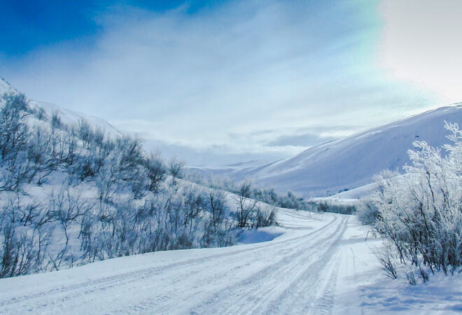 PåBilde: Skutertrasse i i Skogdalen (Tranga) i Syltefjorddalen.. Foto : GN PåBilde: Skutertrasse i i Skogdalen (Tranga) i Syltefjorddalen.. Foto : GN