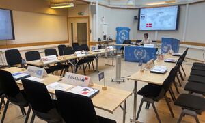 FN-rollespill, salen