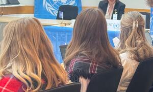 FN-rollespill, møte