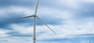 Profilen – Charlotte Elmelid, Vårgrønn