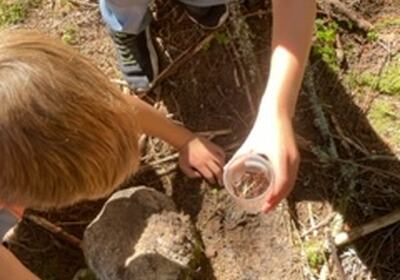 thumbnail_IMG_8684[1]