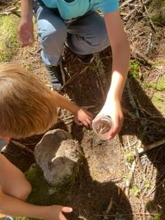 thumbnail_IMG_8684[1]