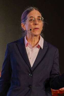 Sarah C. M. Paine, professor emerita i historie og strategi, U.S. Naval War College