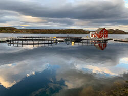 Lokalprodusert oksygen på/ved anlegget gir økt bærekraft i oppdrettsnæringen (Illustrasjonsfoto). Gir gass på lokalproduserte oksygengeneratorer for bedre fiskevelferd og økt bærekraft