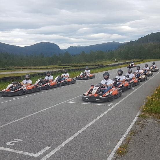 Gocart_halsa