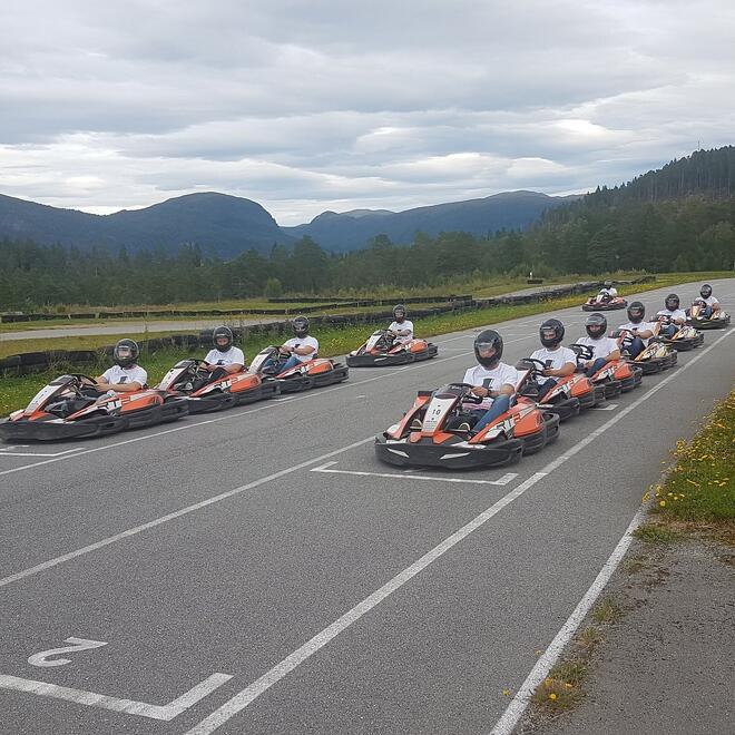 Gocart_halsa