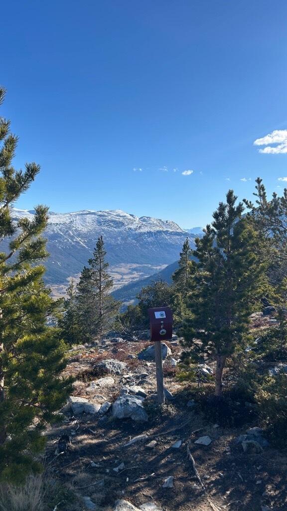 Utsikt over Fossbergom