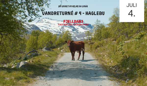 arrangement bilde