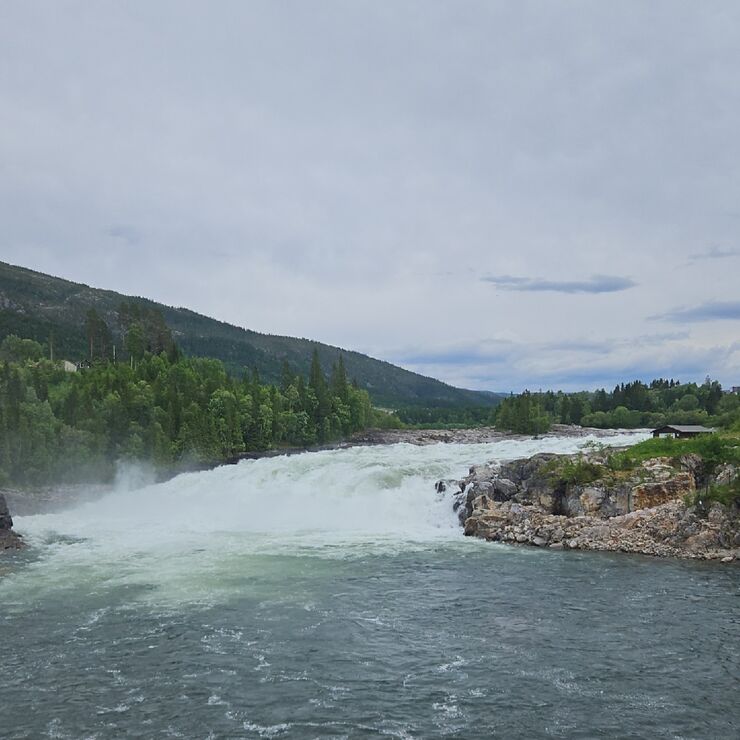 Laksforsen