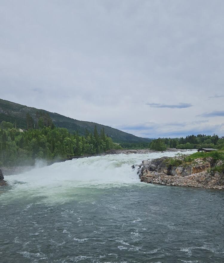 Laksforsen