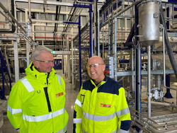 Mesternes malingsmester