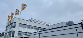 Mesternes malingsmester