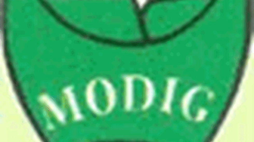 Modig
